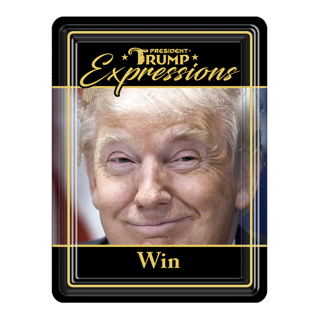 Design Master Associates Trump v Biden 2024 (Limited) – Design Master Associates, Incorporated