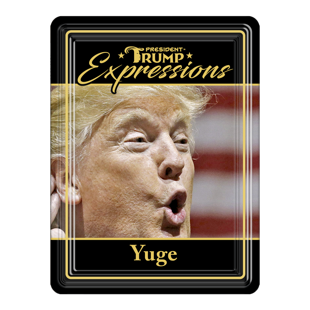 Design Master Associates Trump v Biden 2024 (Limited) – Design Master Associates, Incorporated